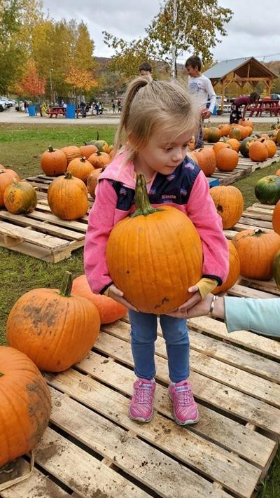 MUST RUN: RiverFire Pumpkin Distribution Day and Pumpkin Bridge Challenge this Saturday