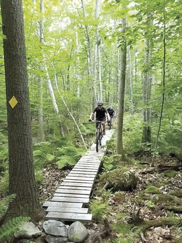 Wheel Family Fun - Sewall Woods wide trails