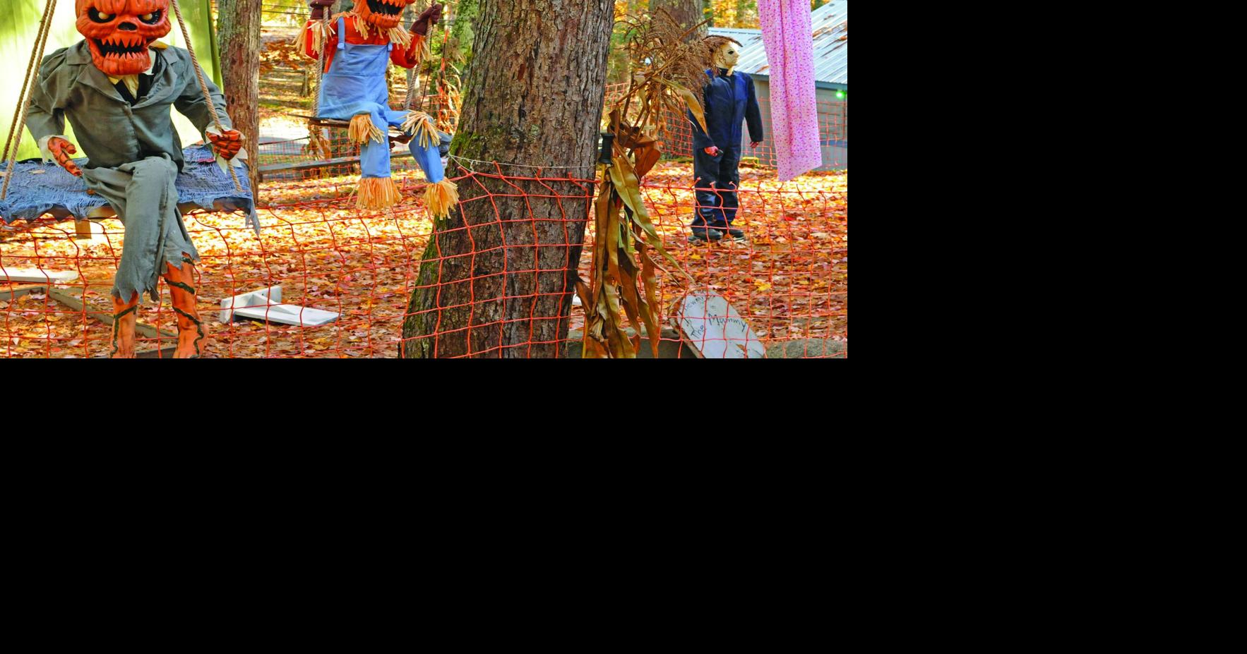 A howling good time at Halloween in the valley Oct 23, 2026 Oct 23, 2026 Updated 2 mins ago
