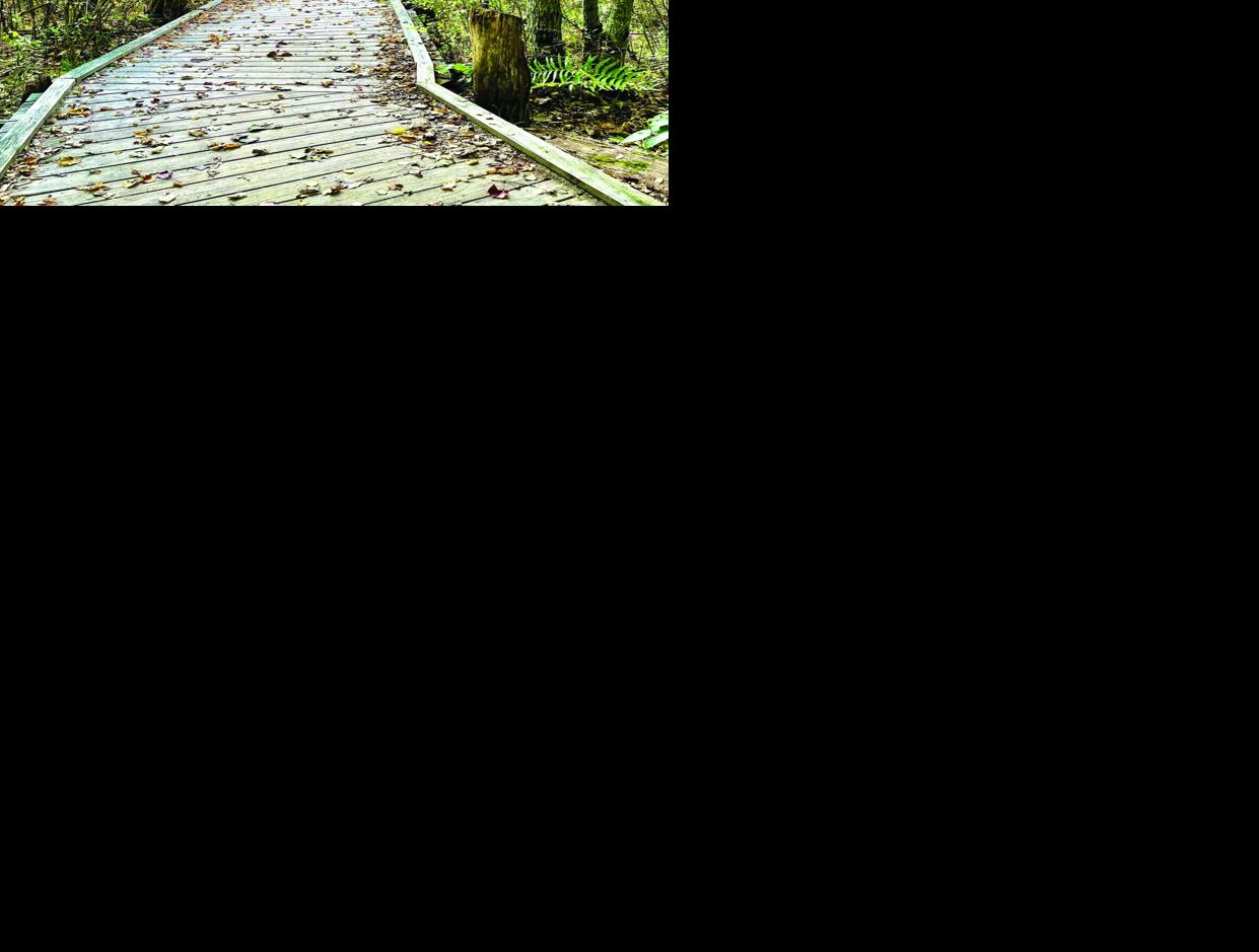Constitution Park Boardwalk.jpg