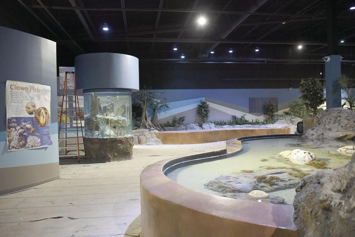 Best Aquarium in New Hampshire | Living Shores Aquarium