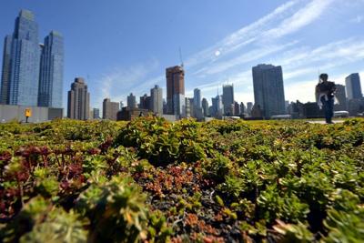 The rooftop of the Javits Center in New York is still thriving, but others have struggled.