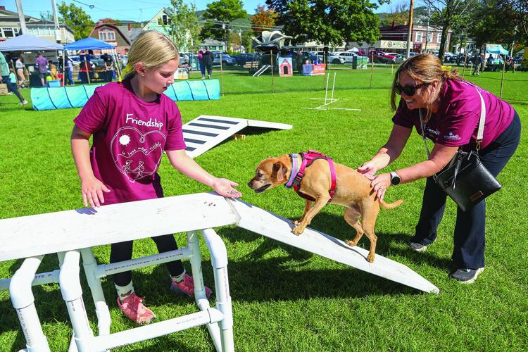 09-19-26 Bark in the Park obstacle ramp 1