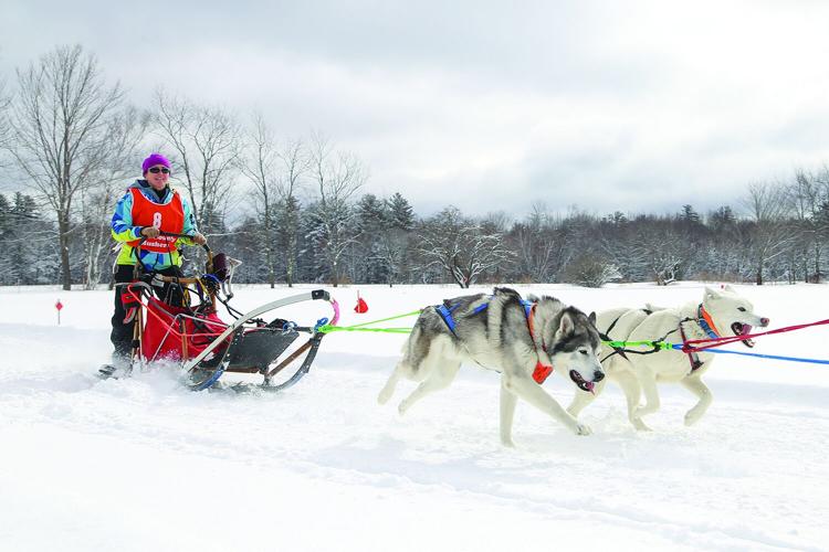02-21-26 TOC Sled Dog smile medium