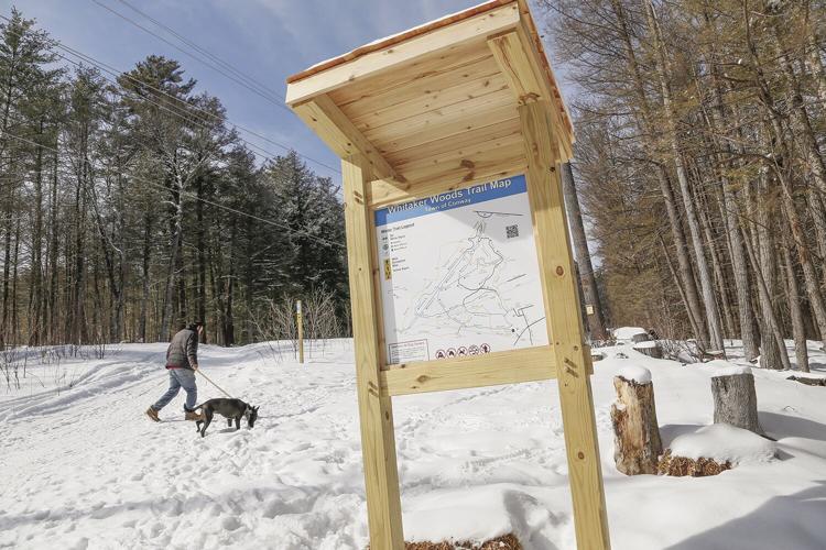 02-27-23 Whitaker Woods map dog walker