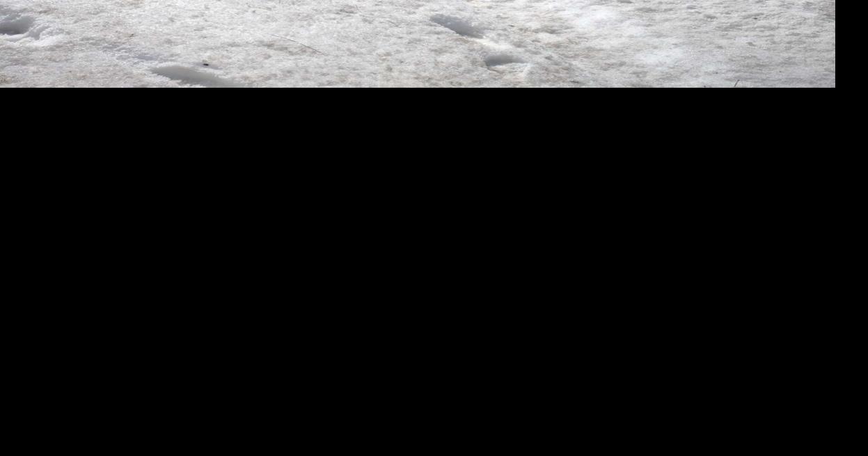 Gorham man seriously injured in car crash Courts & Cops