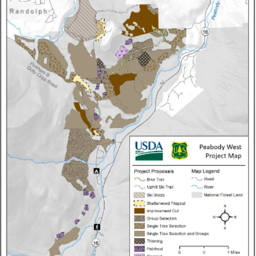 Lawsuit seeks to stop two commercial logging projects in WMNF - Vimarsana News