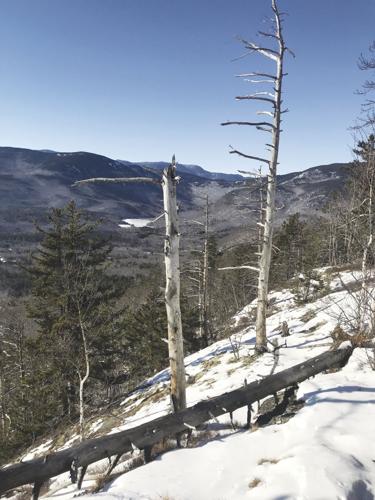 1-22-2022 Parsons-Blueberry Mountain