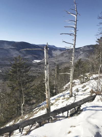 1-22-2022 Parsons-Blueberry Mountain