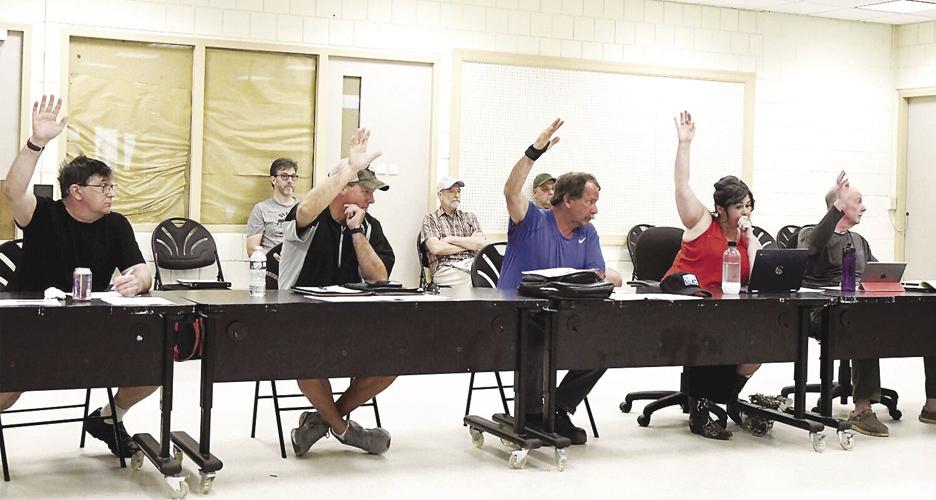 SAU 9 Board - chairman vote - for Sorgi