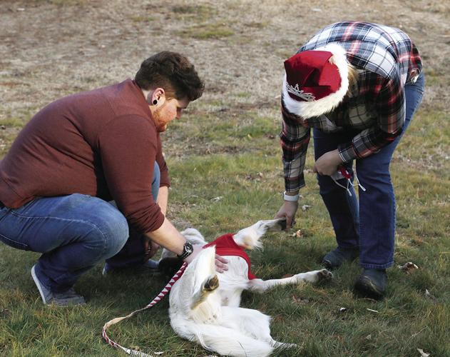 11-18-21 Grinchmas petting nellie