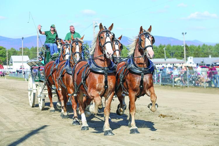 10-04-25 Fryeburg Fair horses pulling medium