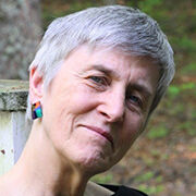 Great North Woods Libraries CSI New England series