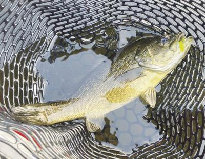 9-16-2023 North Country Angling-Green trout madness: Part II
