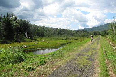 State Rail Trail update under way