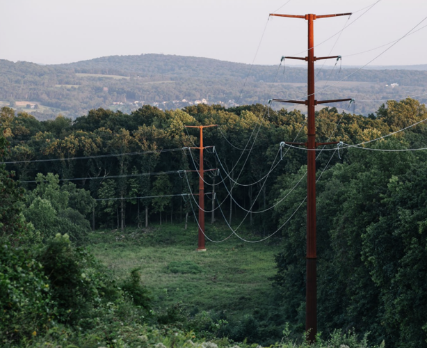 monopoles brown
