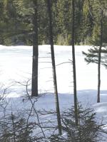 North Country Angling: Hunting for brook trout