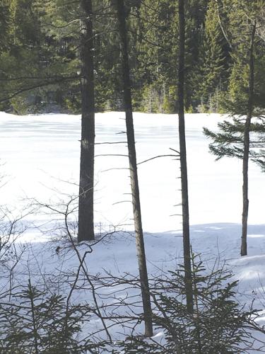 3-20-2021 North Country Angling-White Mountain National Forest ponds