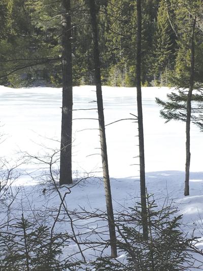 3-20-2021 North Country Angling-White Mountain National Forest ponds