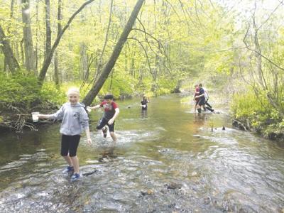Green Mountain Conservation Group's Trout In the Classroom