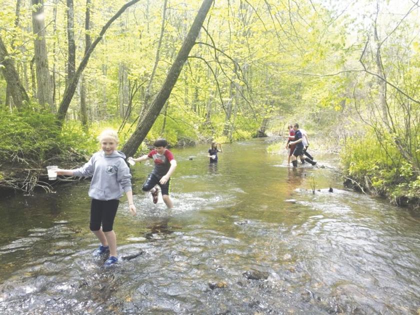Green Mountain Conservation Group in final week of fundraising challenge | Organizations/Clubs