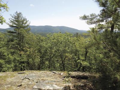 7-17-2021 Parsons-Pleasant Mountain from Mount Tom