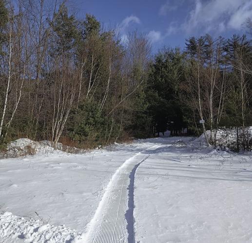 corduroy