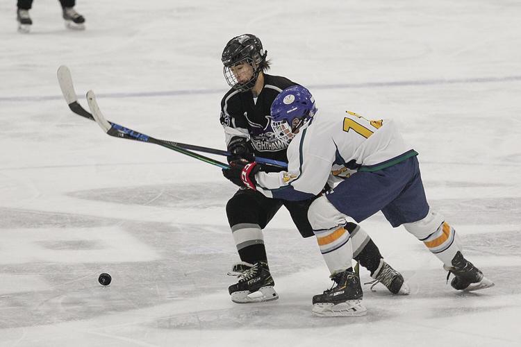 03-02-22 Ice Cats wooster crossed