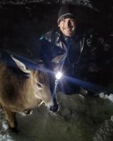 Bartlett police escort young buck off highway