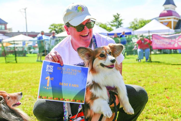 09-19-26 Bark in the Park best ears