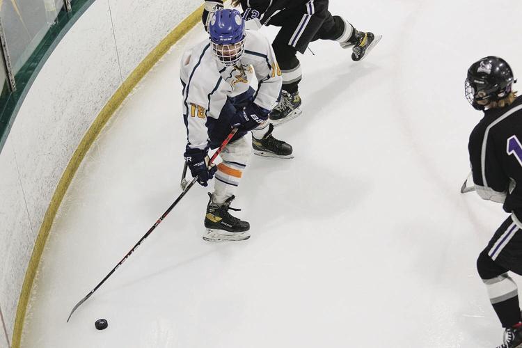 03-02-22 Ice Cats lemery from above