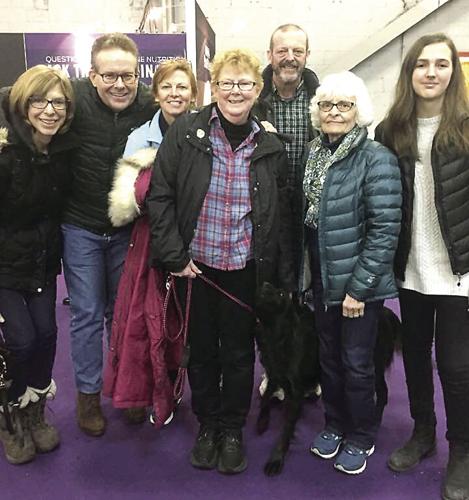 Westminster - Robin Crocker's Kit