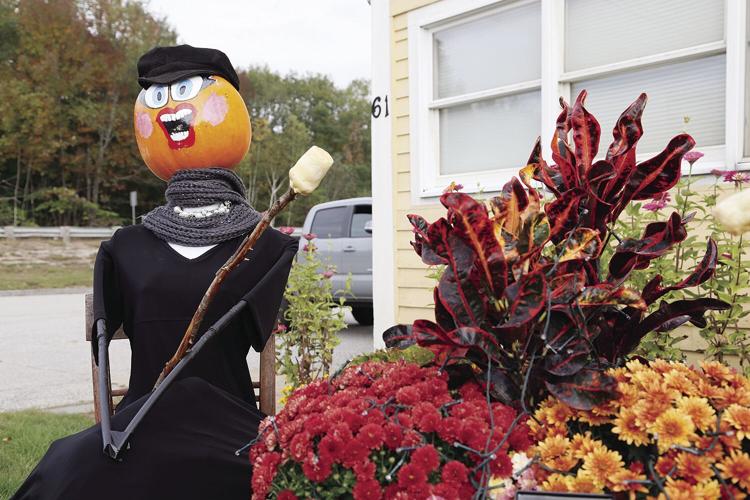 10-05-21 Pumpkins black bear tighter