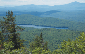 Soaring spirits on Albany Mountain
