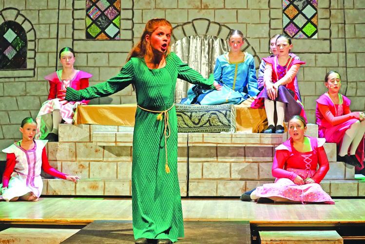 AIM Once Upon a Mattress-2(1).JPG