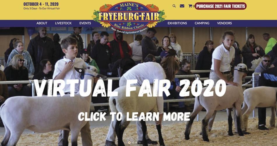 virtual fair