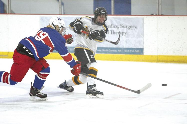 12-08-21 KHS Hockey shot best