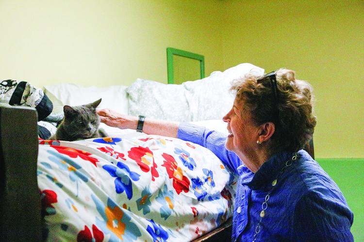 08-12-25 Shaheen at MW petting nimbus 1