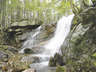 7-28-18 Parsons-Thompson Falls