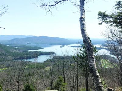 5-2-25-parsons Crawford Ridgepole trail.jpg