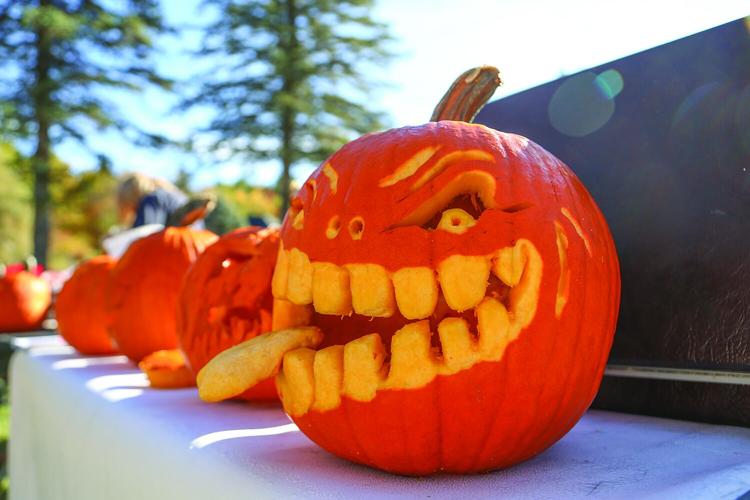 10-18-25 Jackson Pumpkin Carving tight tongue out