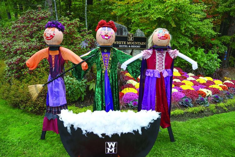 10-01-26 Pumpkin People white mtn hotel medium