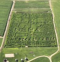 The Maize joins with NEHA for grand opening