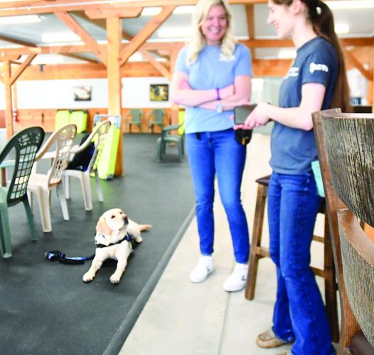 ACTS - puppy raisers - Marina Legere with Brooke Matarese and Jonesy