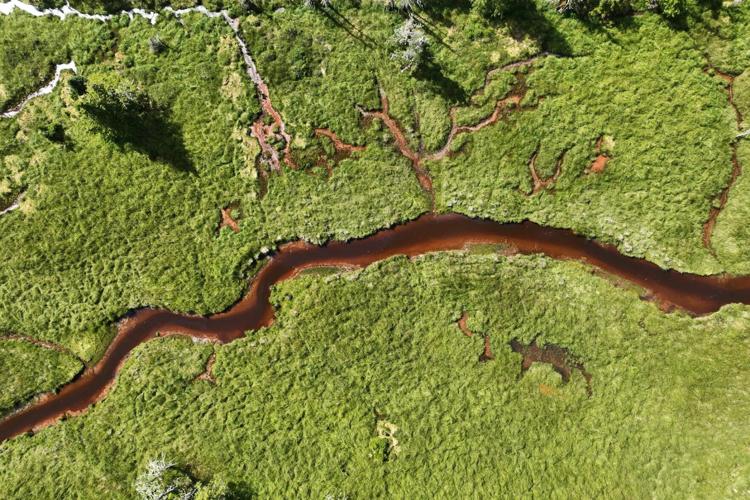 Increased carbon in runoff from land is turning freshwaters darker.