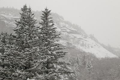 11-22-23 Snow ledge and trees best