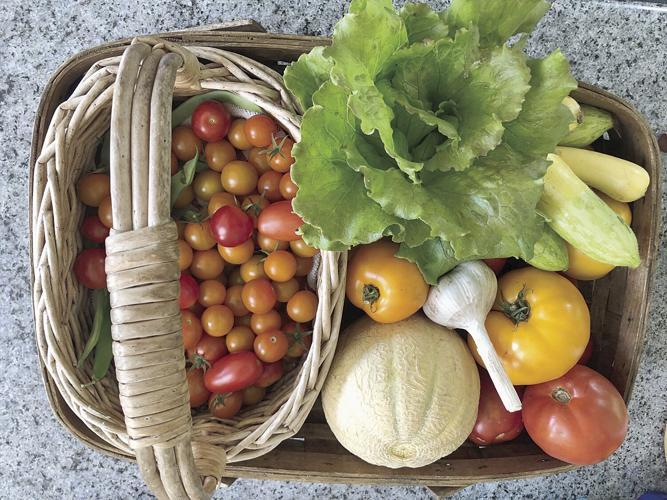 garden basket granite