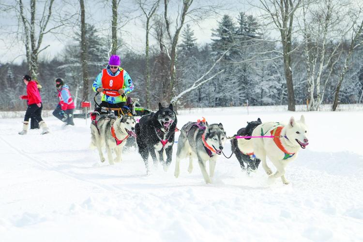 02-21-26 TOC Sled Dog start medium