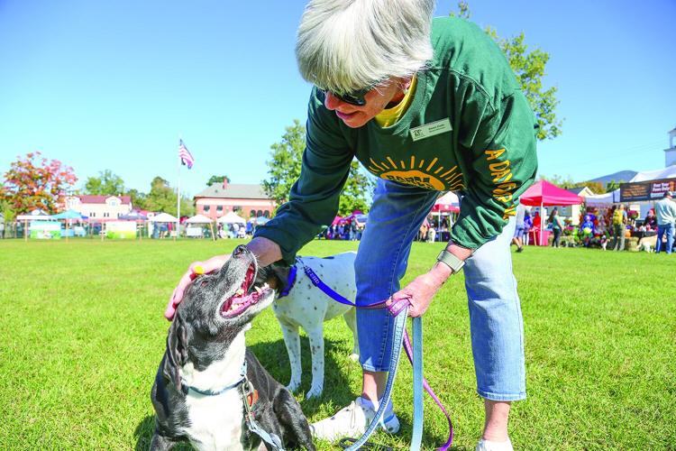 09-20-25 Bark in Park leaning to pet