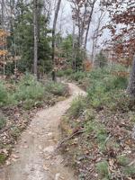 Wheel Family Fun: Fall Layers, leaves and light